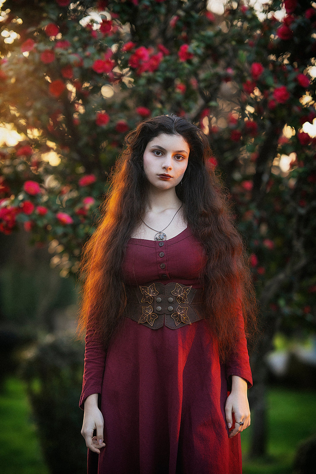 Imbas Burgundy Dress